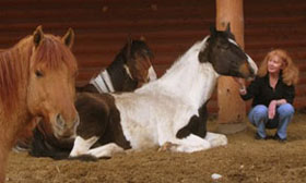 Counselor with her horses at her house near Whitefish, MT