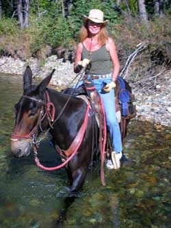 family counselor riding mules near flathead valley